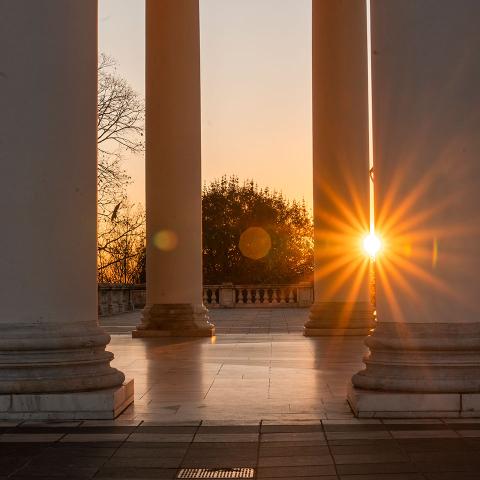 UVA Economics - Major