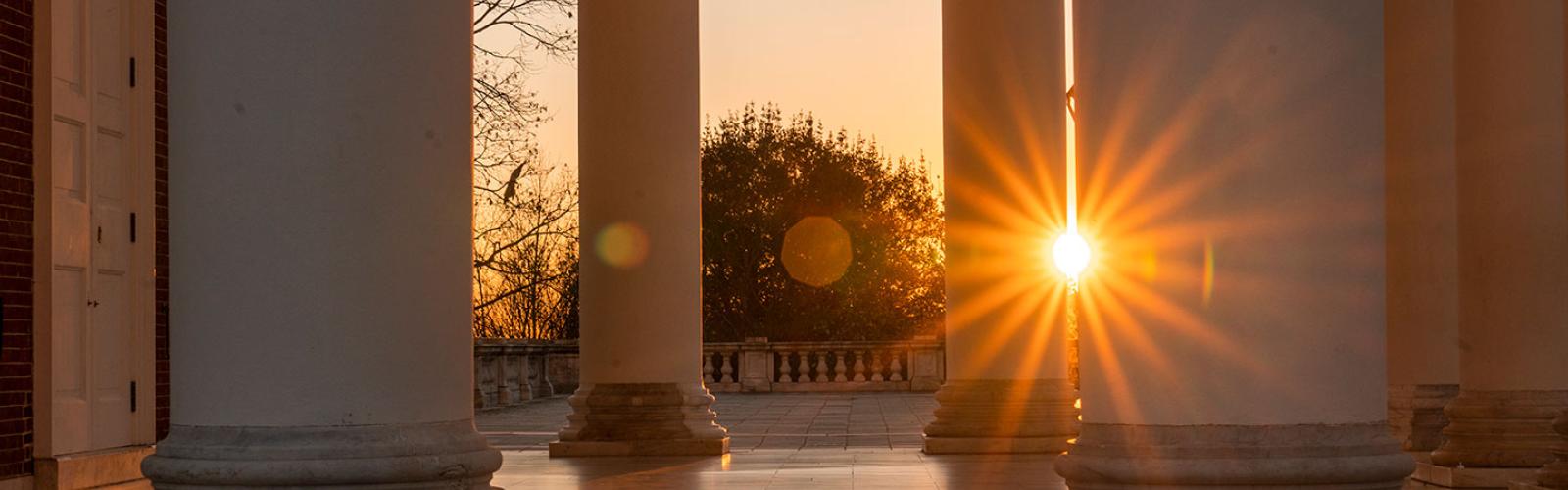 UVA Economics - Major